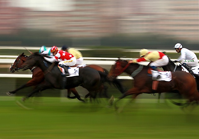 Professional Sports Bettors