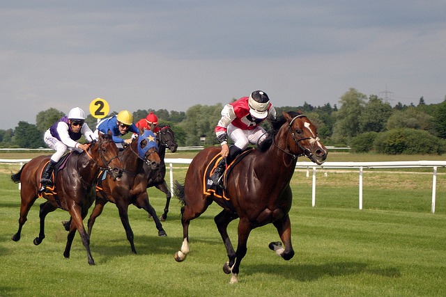 Professional Sports Bettors